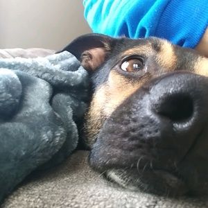 Meet your Posher, Tami